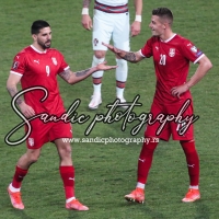 Serbia - Portugal (304)